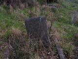 image of grave number 319755